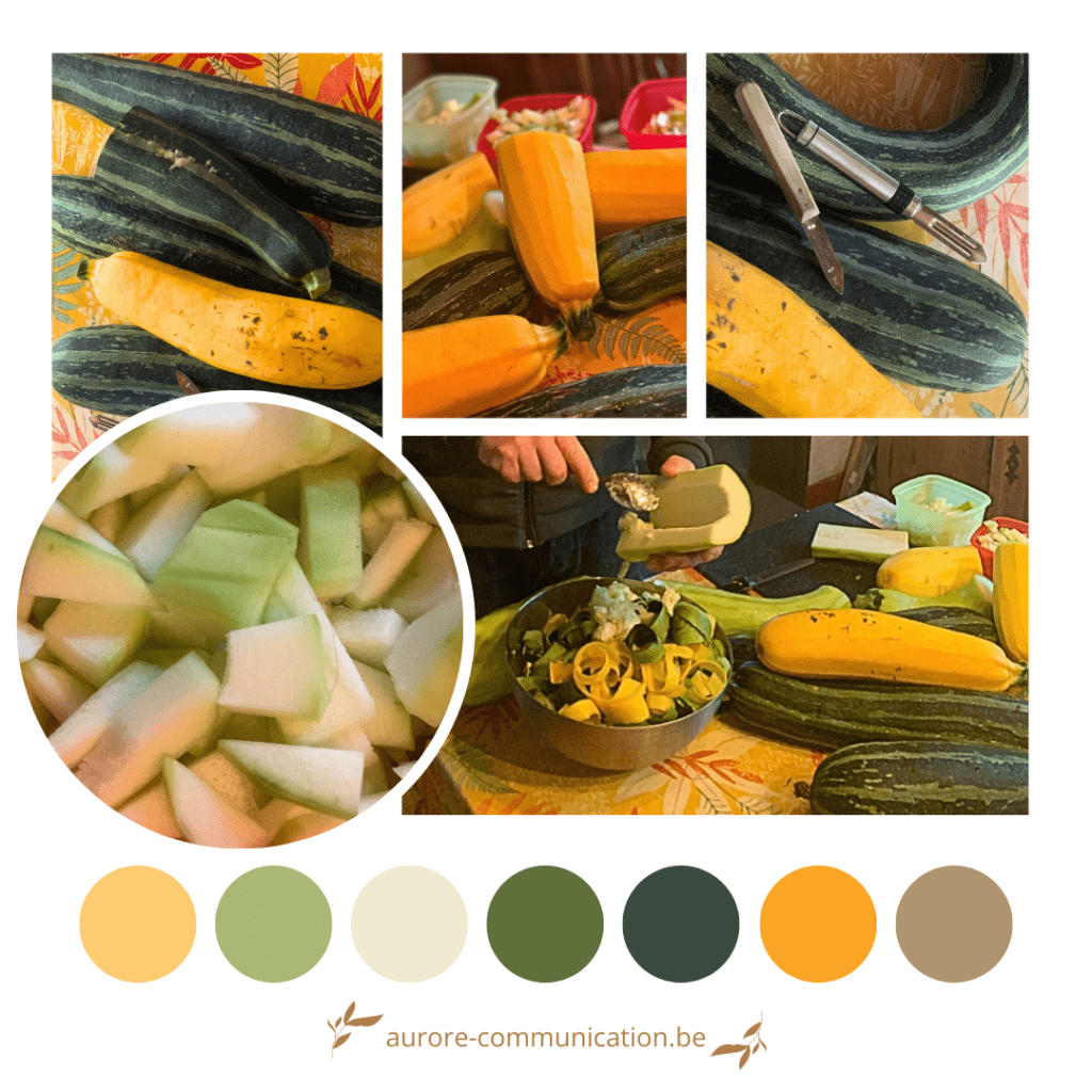 Palette de couleurs - J'ai récolté les courgettes vertes et jaunes du jardin