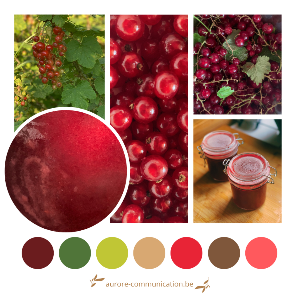 Palette de couleurs inspirée des groseilles rouges du jardin