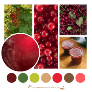 Palette de couleurs inspirée des groseilles rouges du jardin