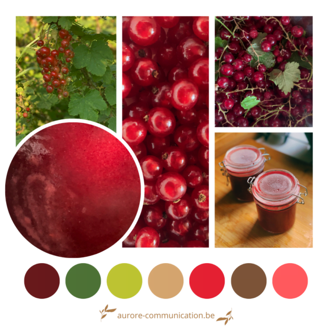 Palette de couleurs inspirée des groseilles rouges du jardin