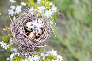 Fais éclore ton projet entrepreneurial en douceur et avec naturel